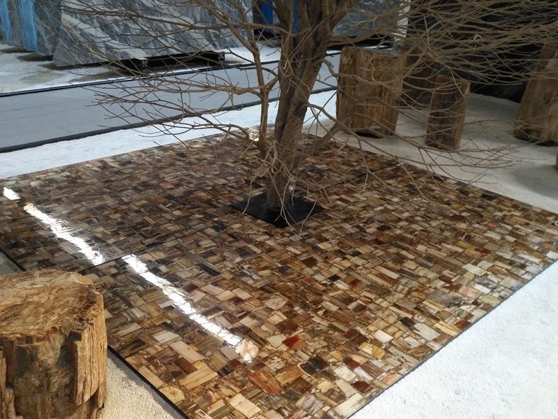 Semi Precious Stone Petrified Wood Slab (22)