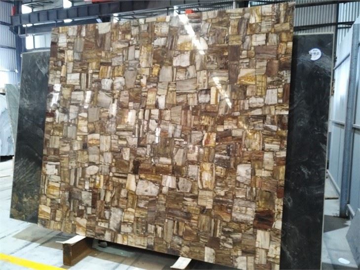 Semi Precious Stone Petrified Wood Slab