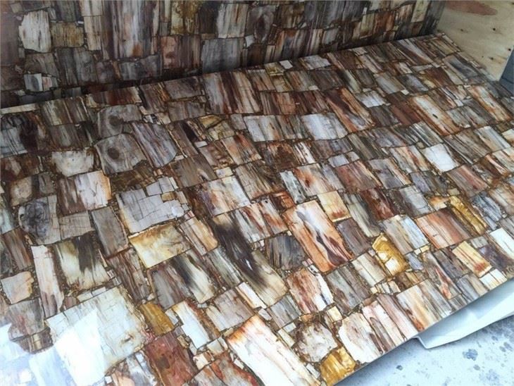 Semi Precious Stone Petrified Wood Slab